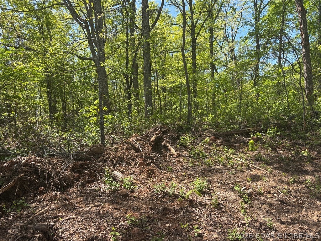 4.92 Ivy Bend Road Stover, MO 65078 - Photo 6 of 9