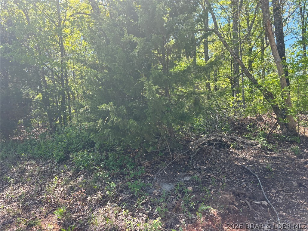 4.92 Ivy Bend Road Stover, MO 65078 - Photo 9 of 9