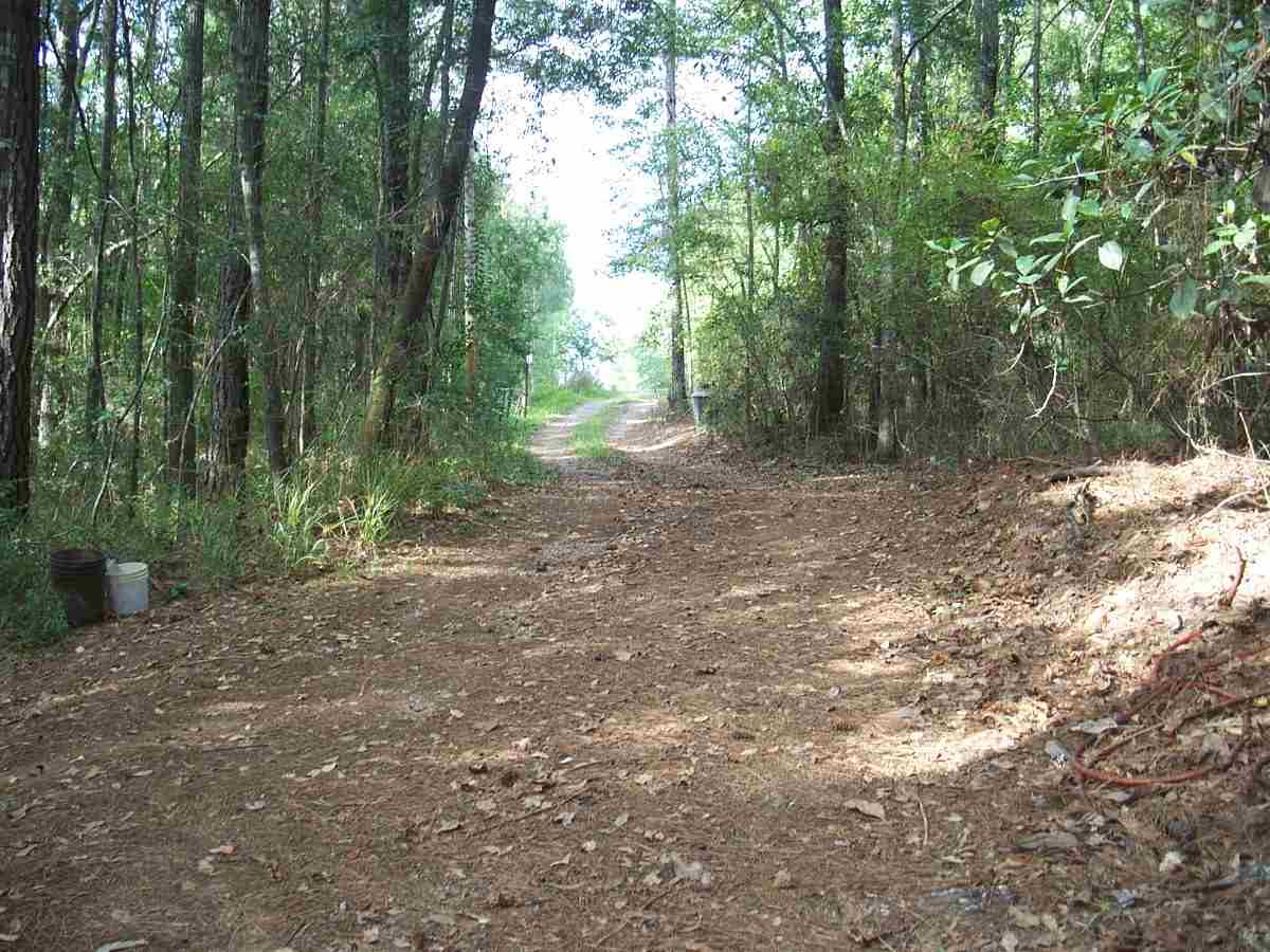 21035 Benvalen Road Andalusia, AL 36420 - Photo 32 of 37 Gallery Image 32