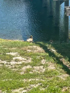 $285,000 | 4000 Gulf Terrace Drive, Unit 1000, Destin, FL 32541