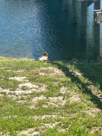 $294,000 | 4000 Gulf Terrace Drive, Unit 1000, Destin, FL 32541