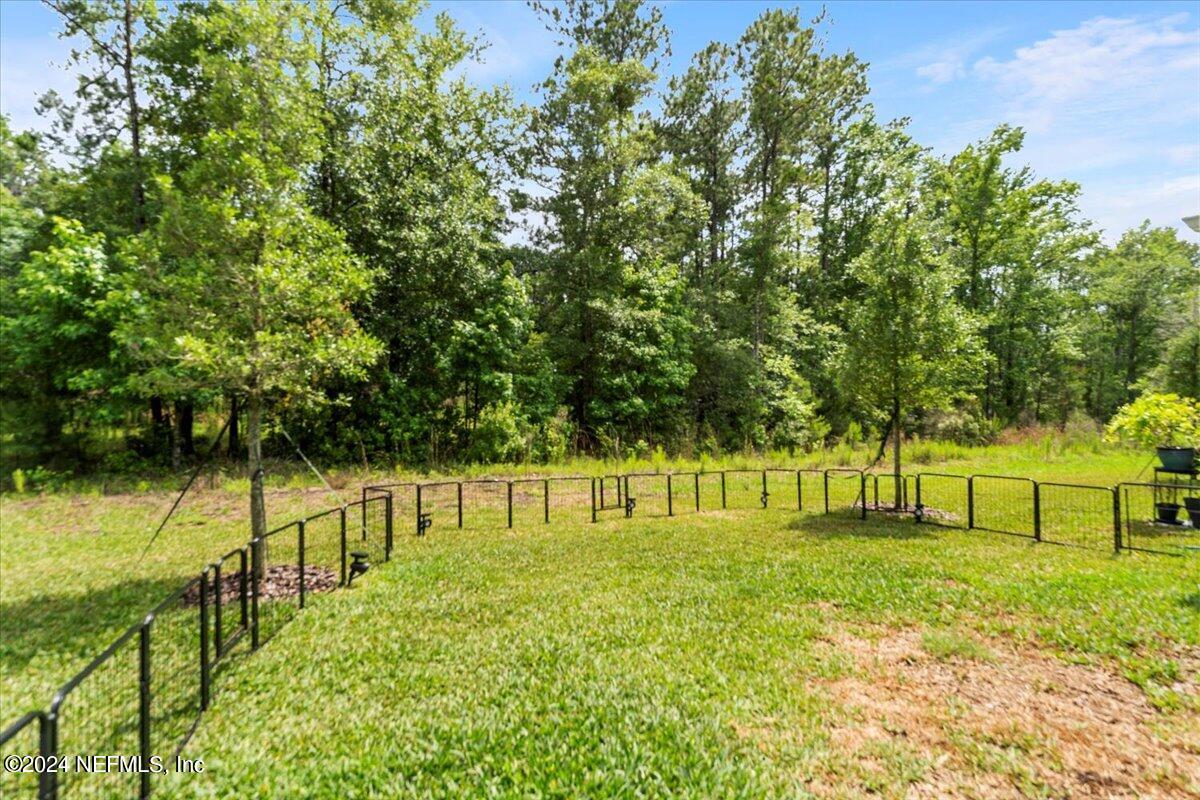 424 Boracay Circle St. Johns, FL 32259 - Photo 29 of 41 Yard