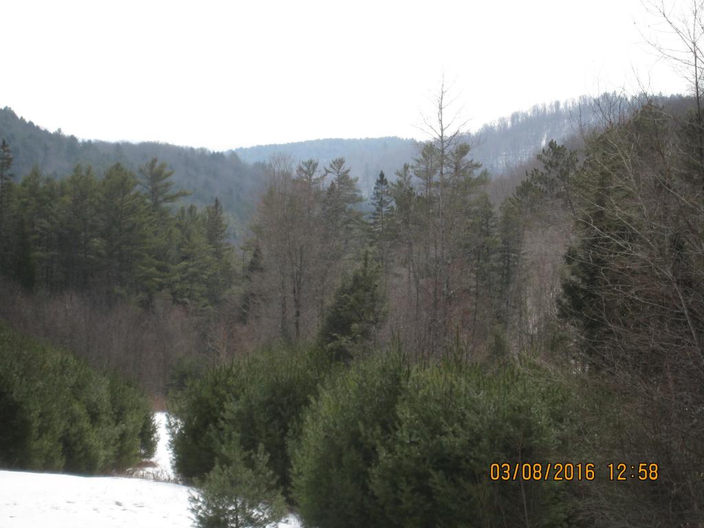 1213 Clark Road Danville, VT 05828 - Photo 17 of 21