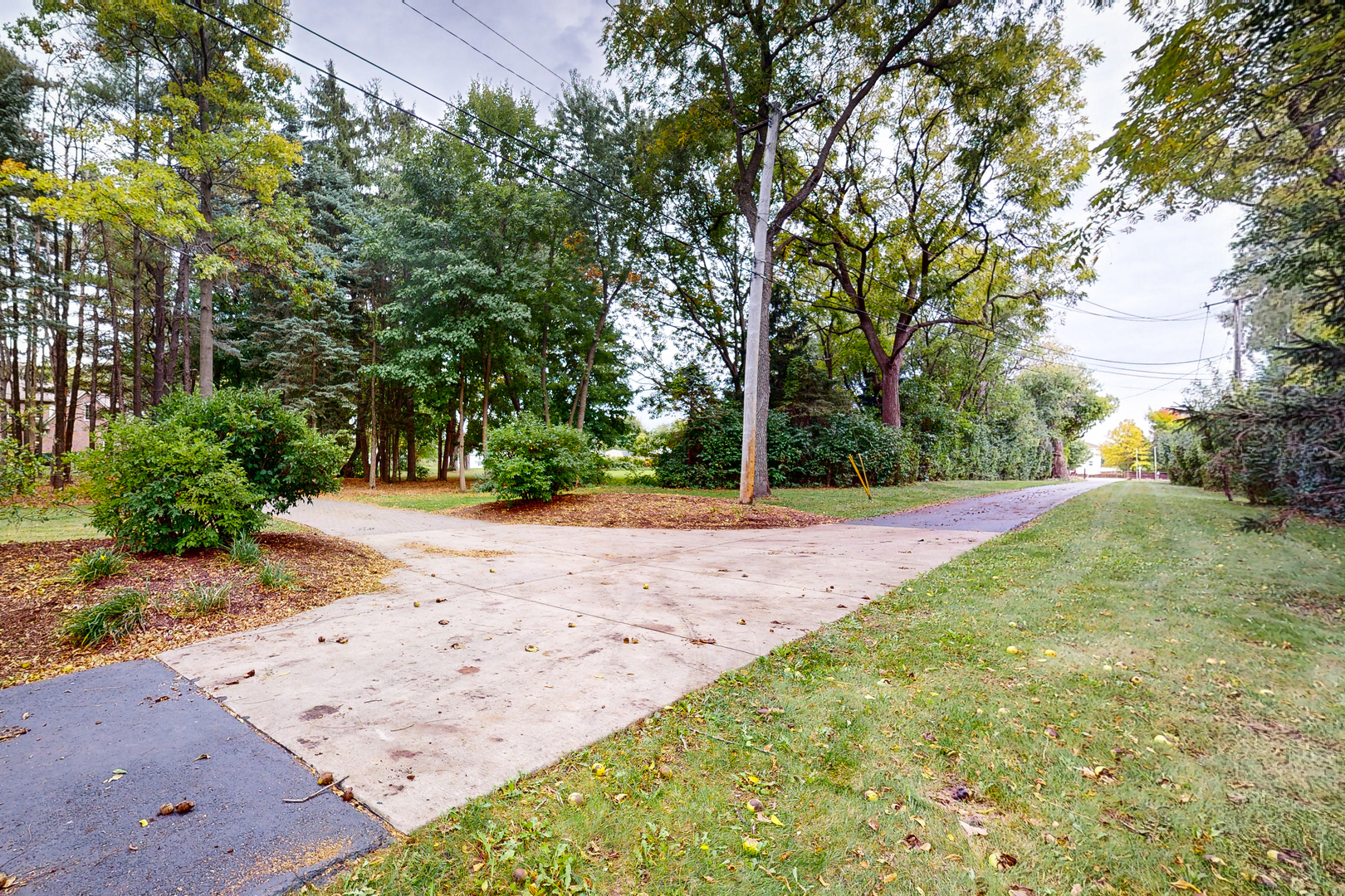 35W998 Miller Road Dundee, IL 60102 - Photo 3 of 33 a view of a yard with potted plants and large trees
