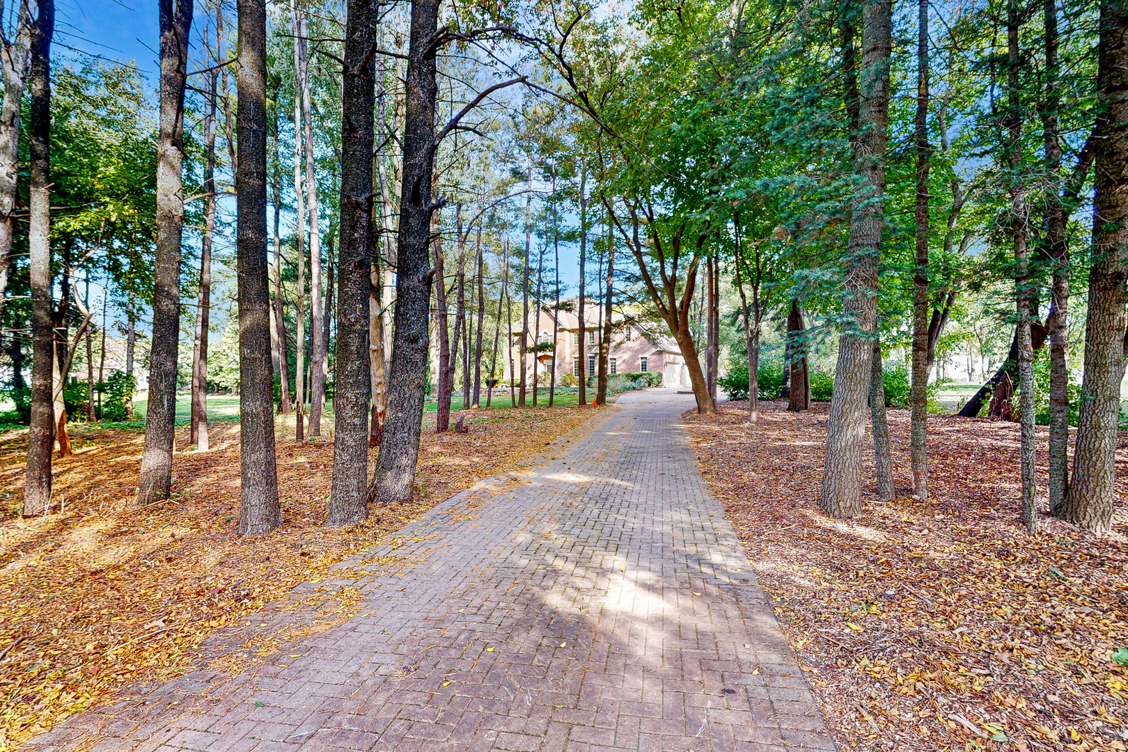 35W998 Miller Road Dundee, IL 60102 - Photo 4 of 33 a view of outdoor space with deck and tree