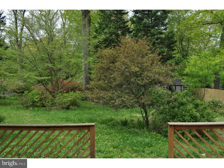 520 Old Eagle School Road Wayne, PA 19087 - Photo 14 of 15 View in Back