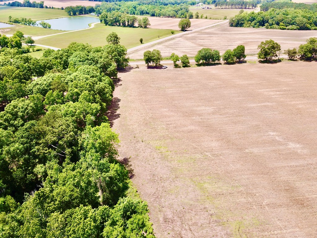 92 County Road 92 Slocomb, AL 36375 - Photo 20 of 58
