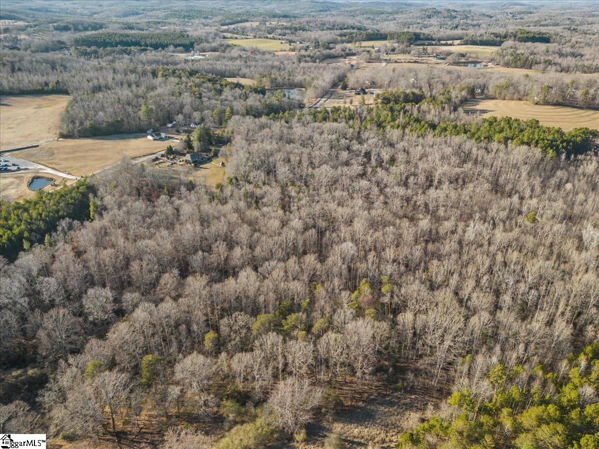 0 Hester Store Road, Unit LOT 2 Easley, SC 29640 - Photo 10 of 15 Gallery Image 10