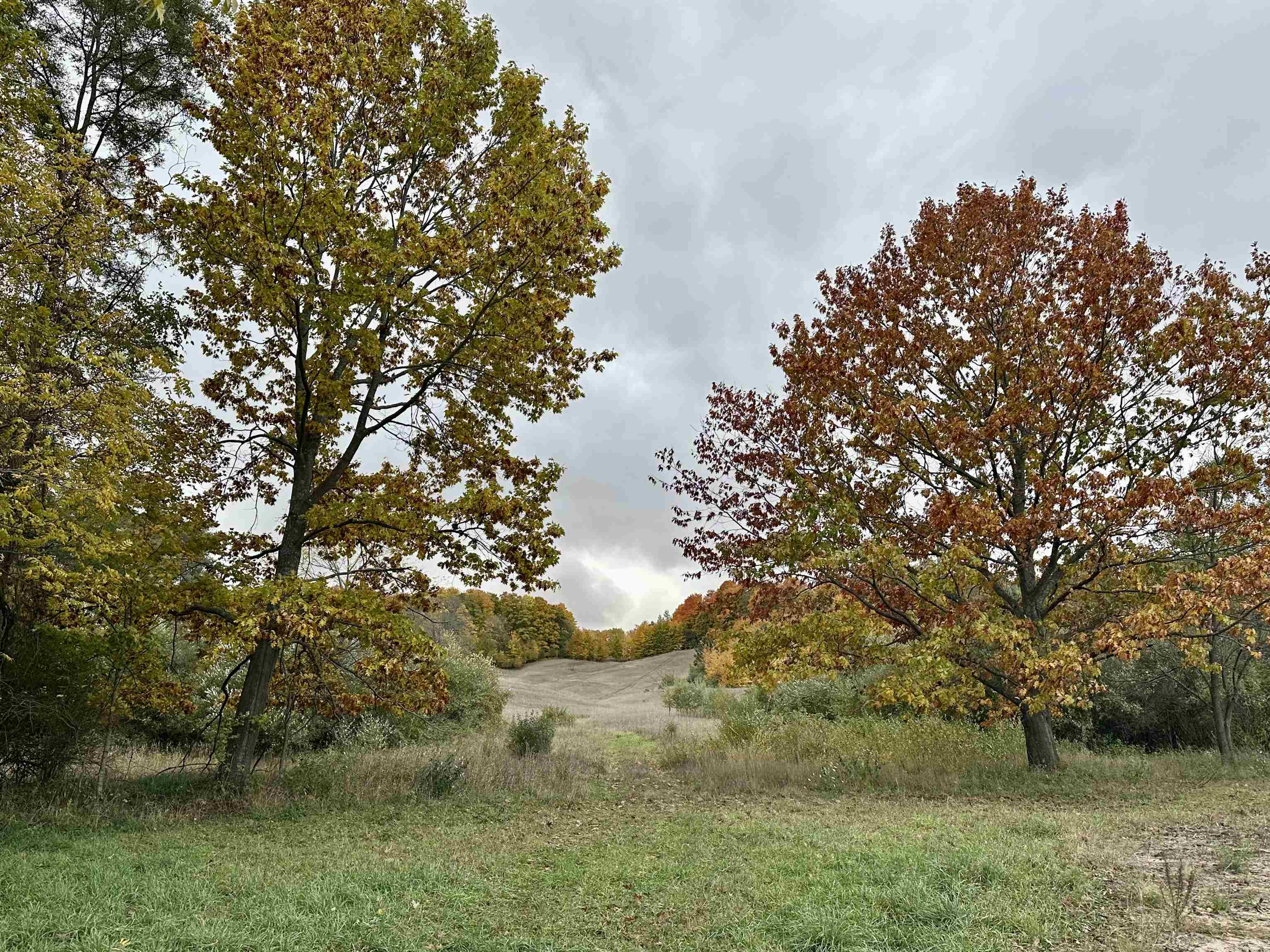 40.6-acres Off East Popa Road Cedar, MI 49621 - Photo 36 of 38 Gallery Image 36