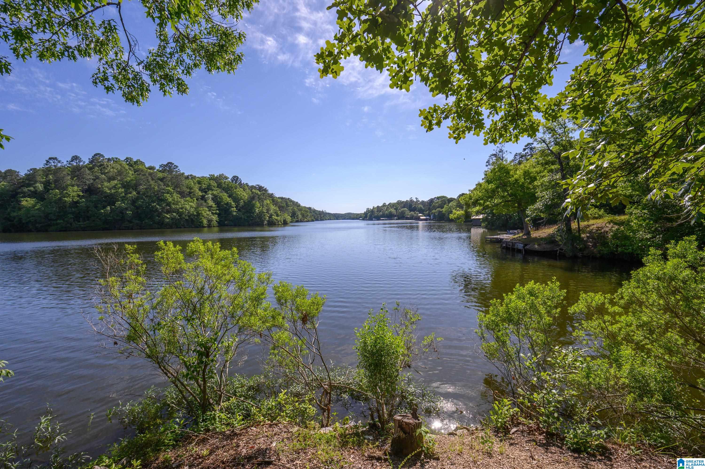 389 Ridge Drive Shelby, AL 35143 - Photo 72 of 100