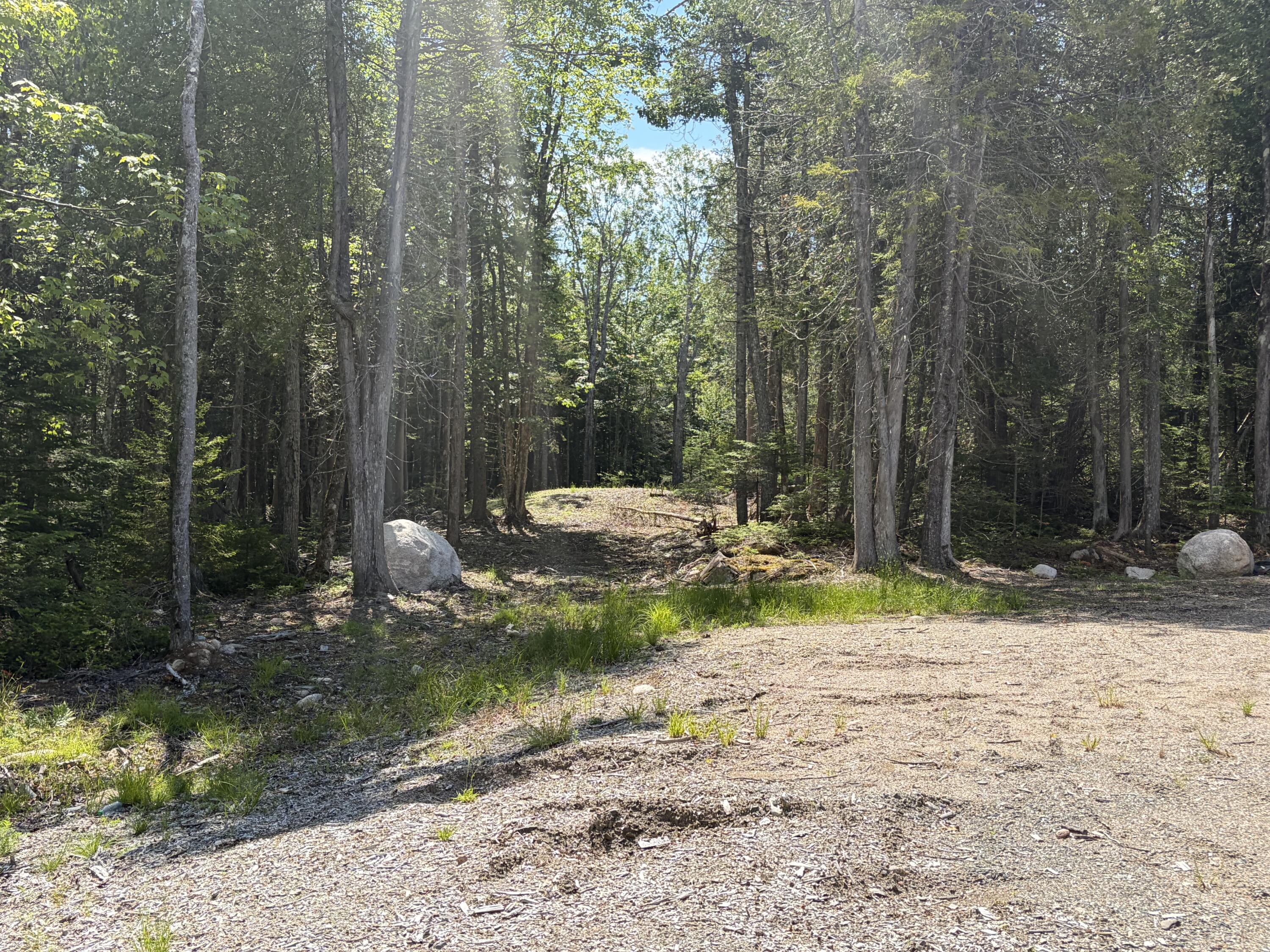 86 Back Shore Road Steuben, ME 04680 - Photo 19 of 24 Leachfield Area