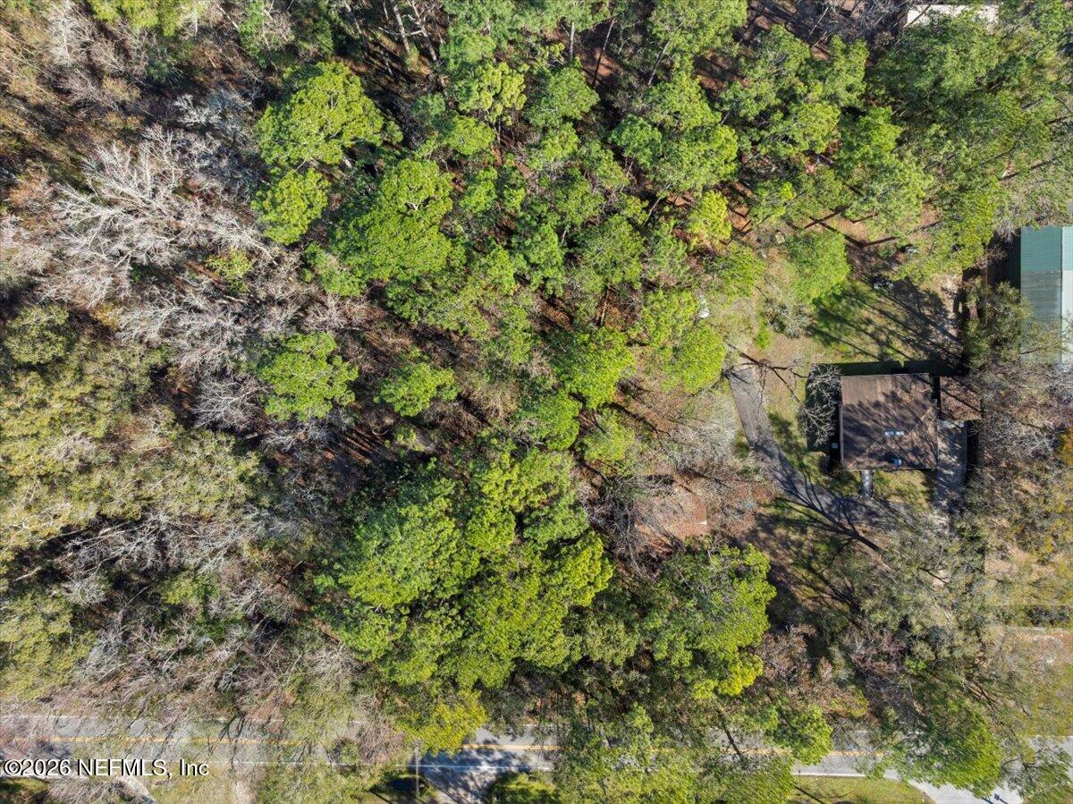 1917 Blair Road Jacksonville, FL 32221 - Photo 28 of 30 a backyard of a house with lots of trees