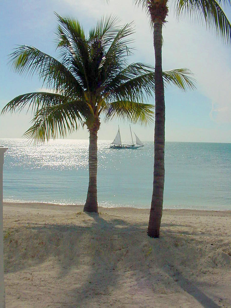 58 Sunset Key Drive Key West, FL 33040 - Photo 27 of 35 a view of ocean with palm trees