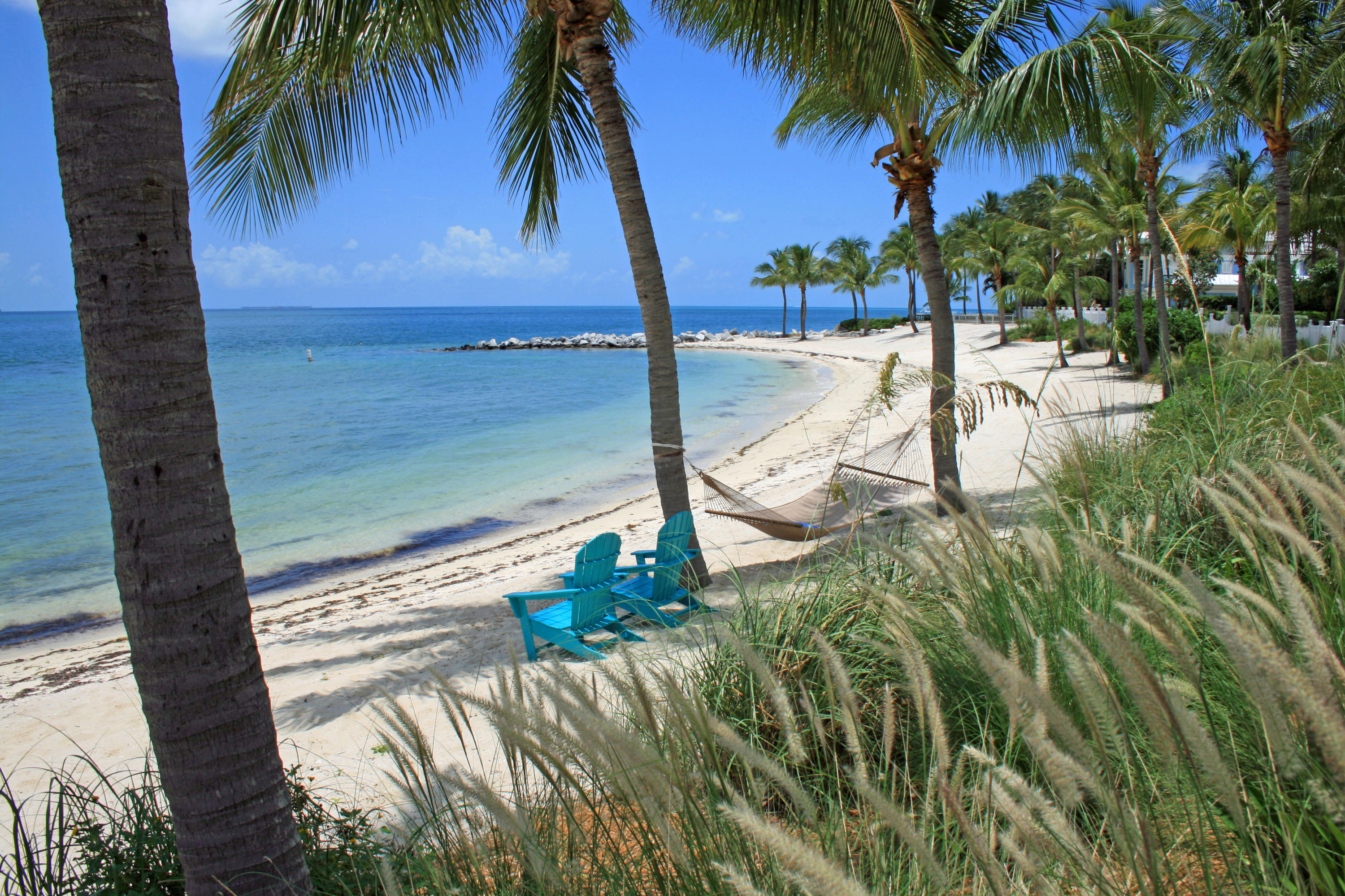 58 Sunset Key Drive Key West, FL 33040 - Photo 28 of 35 a view of a backyard