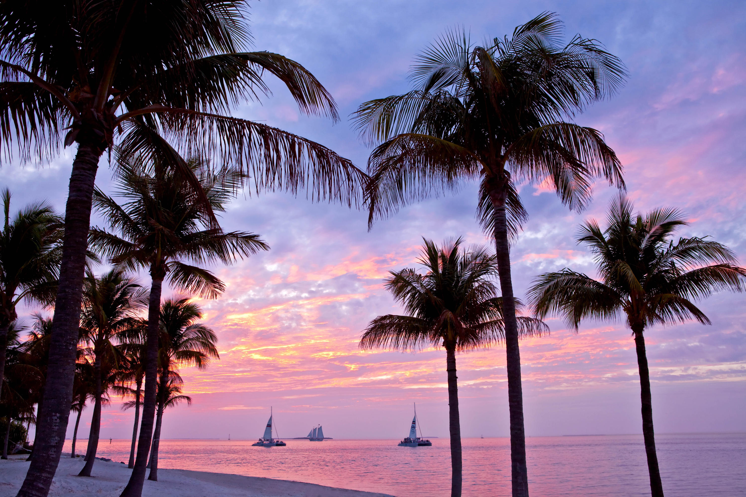 58 Sunset Key Drive Key West, FL 33040 - Photo 32 of 35 an ocean view with a palm tree