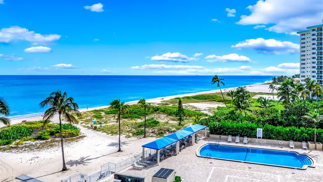 a view of a swimming pool with a patio and plants