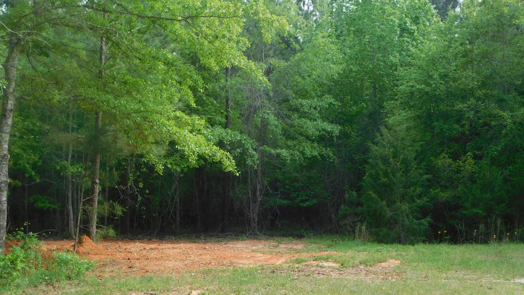 2112 Loco Church Road Lincolnton, GA 30817 - Photo 1 of 9 Main View