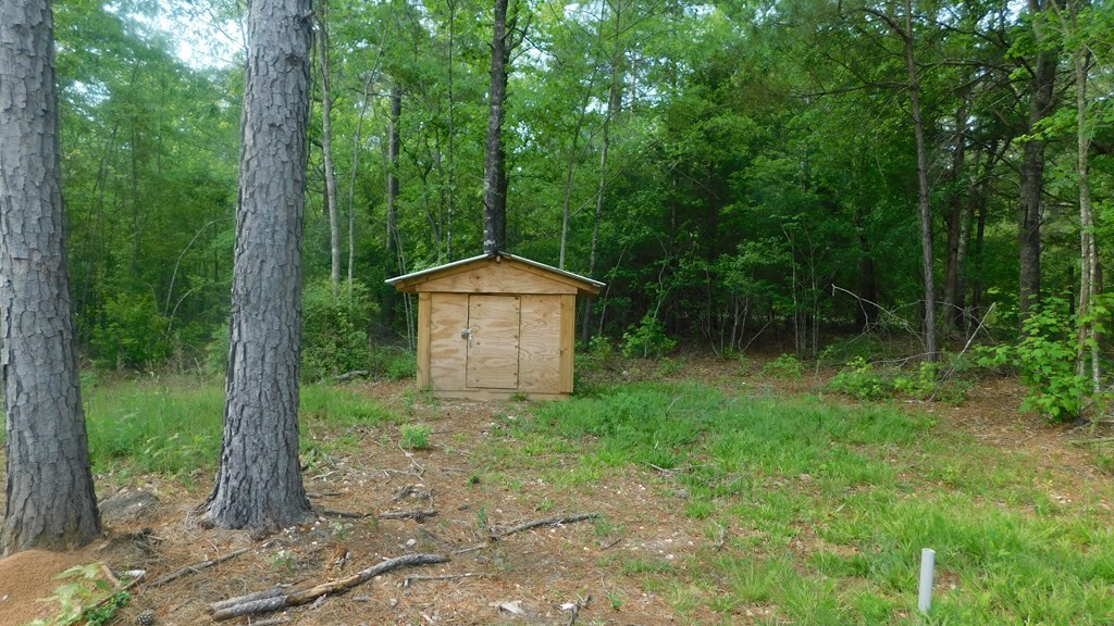 2112 Loco Church Road Lincolnton, GA 30817 - Photo 4 of 9 Gallery Image 4