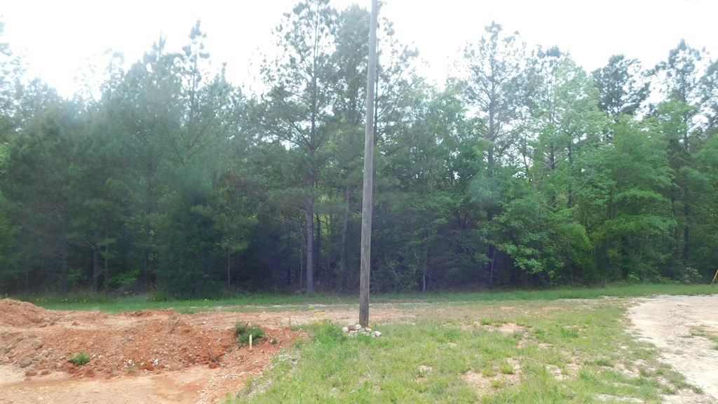2112 Loco Church Road Lincolnton, GA 30817 - Photo 5 of 9 Gallery Image 5