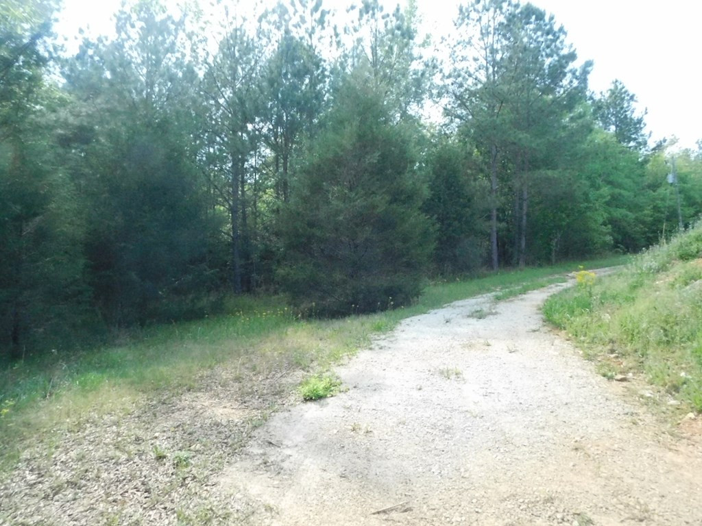 2112 Loco Church Road Lincolnton, GA 30817 - Photo 7 of 9 Gallery Image 7