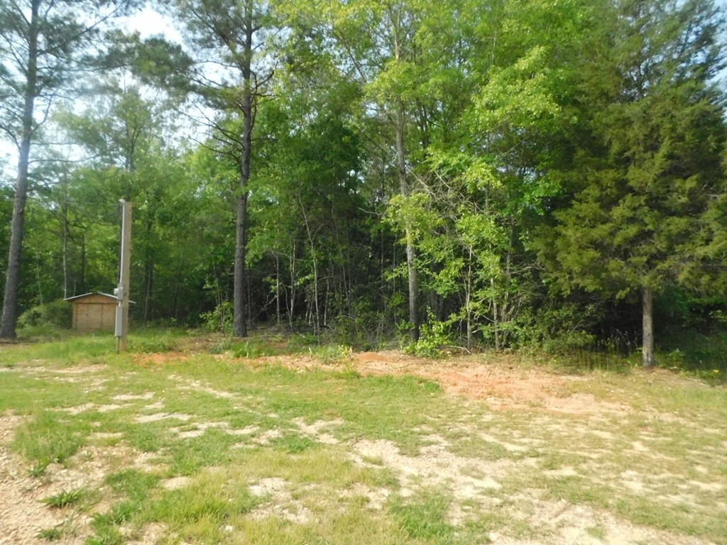 2112 Loco Church Road Lincolnton, GA 30817 - Photo 9 of 9 Gallery Image 9