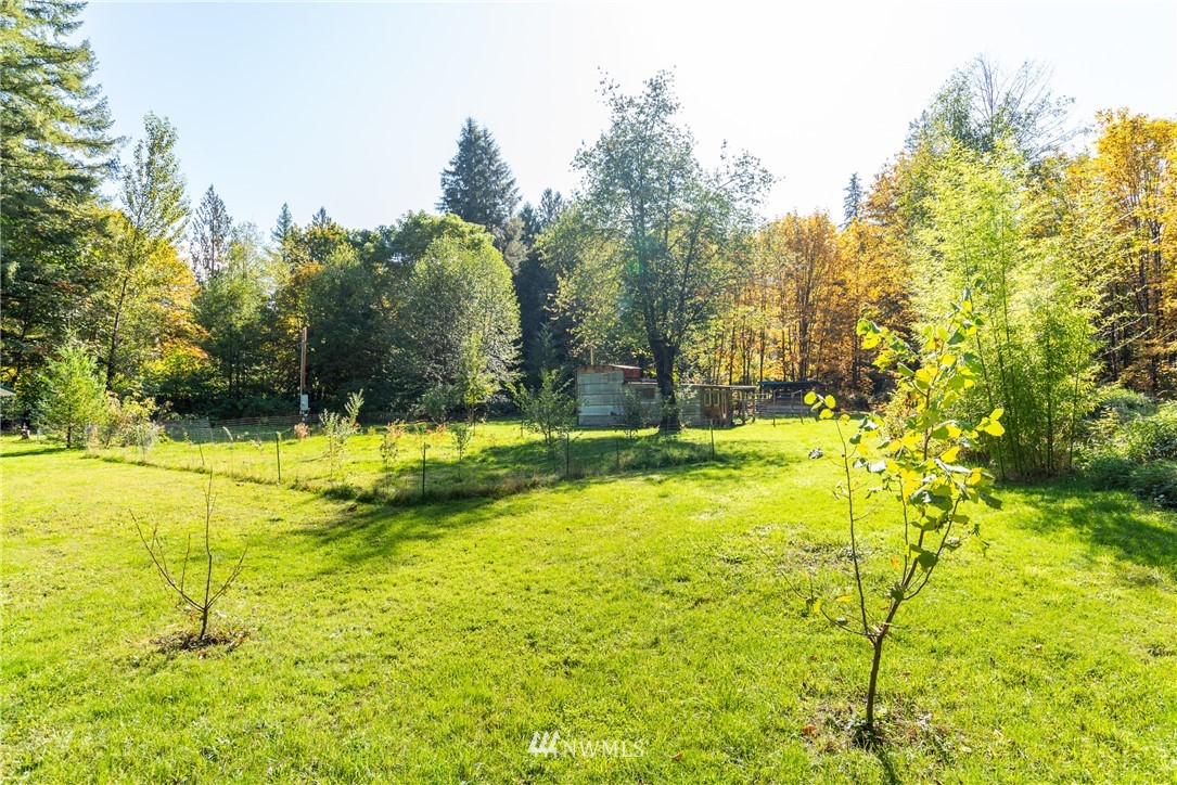 60641 State Rte 20 Marblemount, WA 98267 - Photo 8 of 25 Gallery Image 8