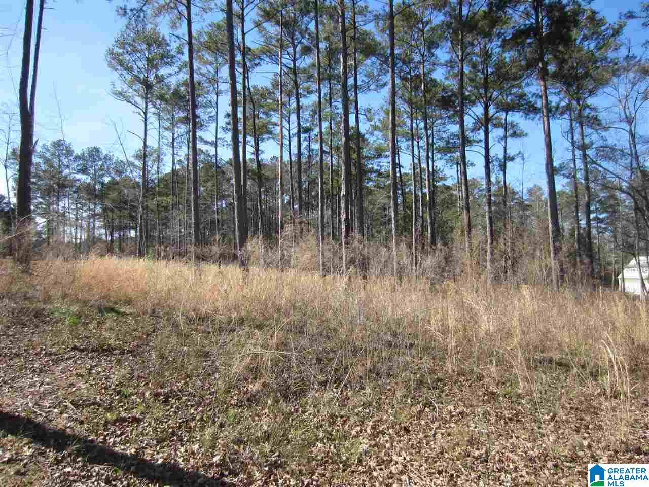 0 Timber Trail, Unit 28 Sylacauga, AL 35151 - Photo 11 of 22
