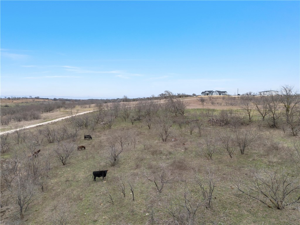 Tbd Alexander Road Moody, TX 76557 - Photo 8 of 13