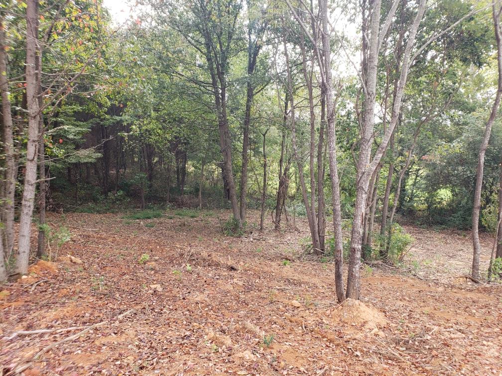 114 East Carter Road Portland, TN 37148 - Photo 3 of 3 a backyard of a house with lots of green space