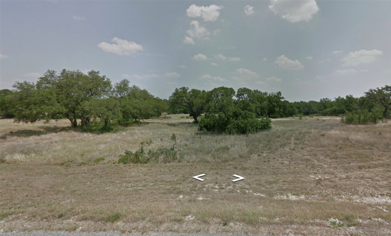 327 John Price Blanco, TX 78606 - Photo 10 of 12 a view of a dry yard with trees in the background