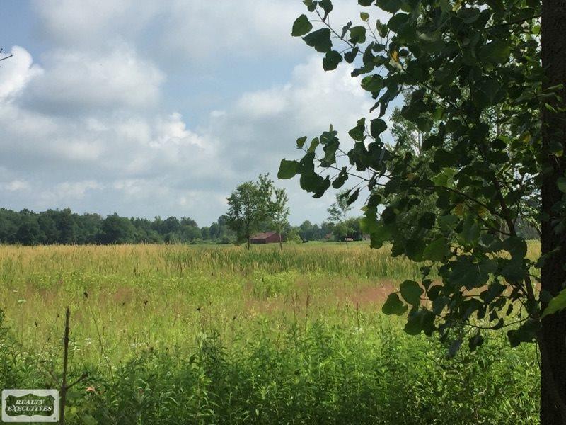 0 Masters Road Allenton, MI 48002 - Photo 4 of 5