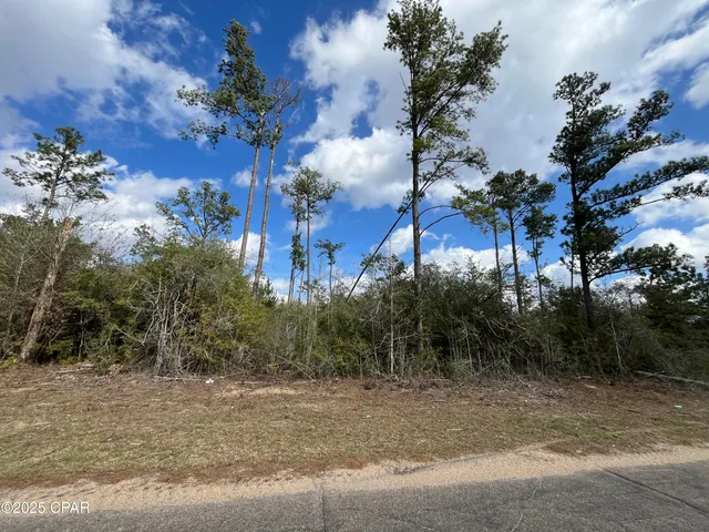 $14,500 | Lot 16 Vancouver Drive, Alford, FL 32420