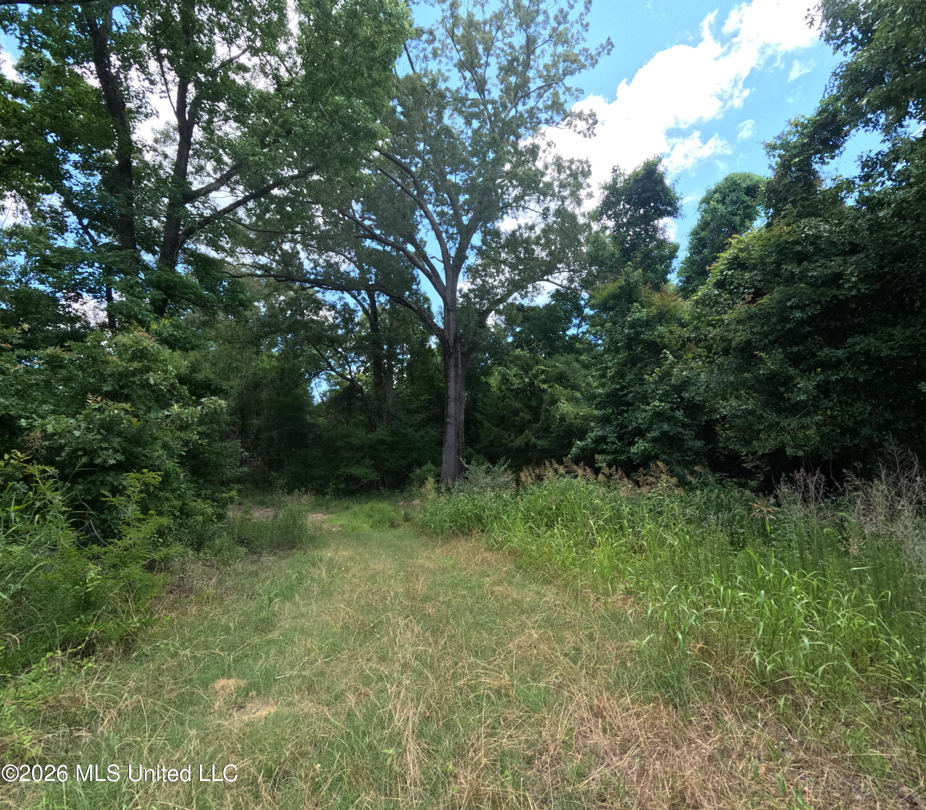 Old Port Edwards, MS 39066 - Photo 33 of 65 GOPR2222