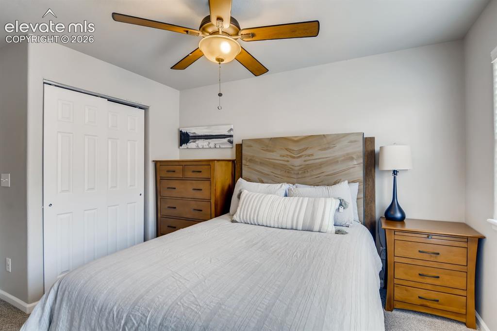 846 Victoria Ridge Point Colorado Springs, CO 80903 - Photo 16 of 27 Bedroom featuring a wood-finish ceiling fan, wood-finish headboard, and light gray wall paint