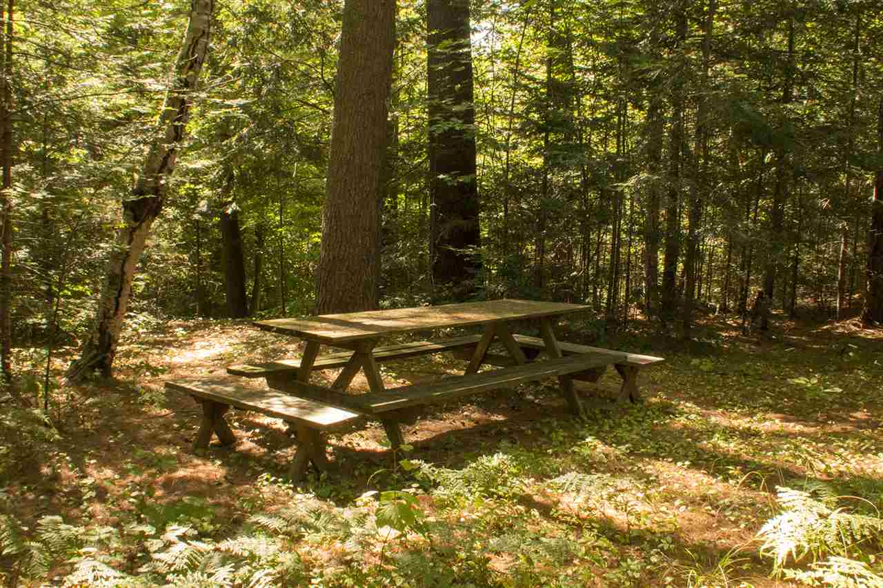 28 Canedy Road Stratton, VT 05360 - Photo 5 of 13