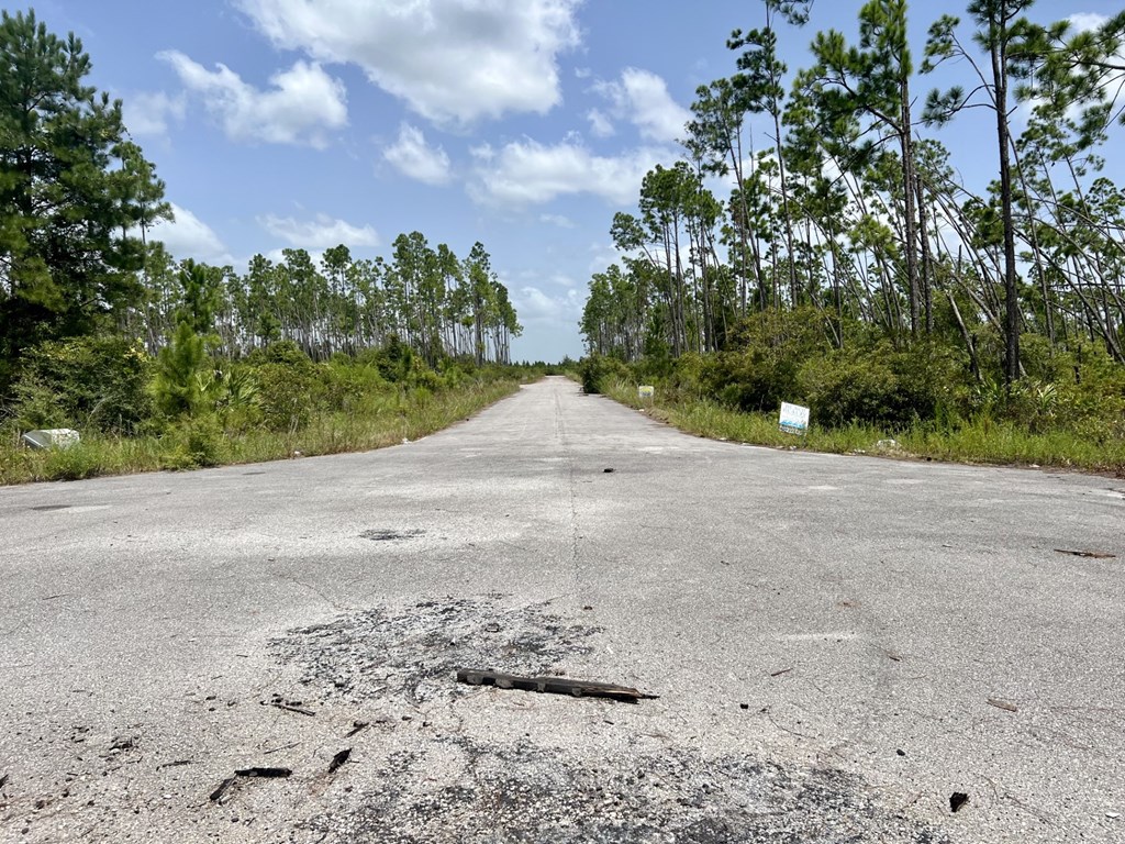 Lot 19 West Marsh Line Road Freeport, FL 32439 - Photo 3 of 9