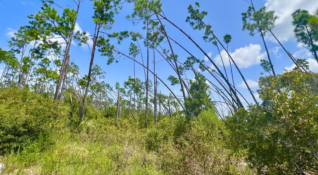 Lot 19 West Marsh Line Road Freeport, FL 32439 - Photo 7 of 9