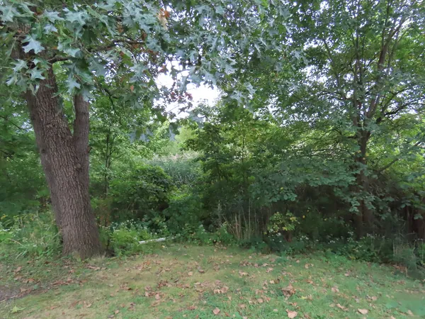$2,000 | 2968 North 2659th Road, Seneca, IL 61360