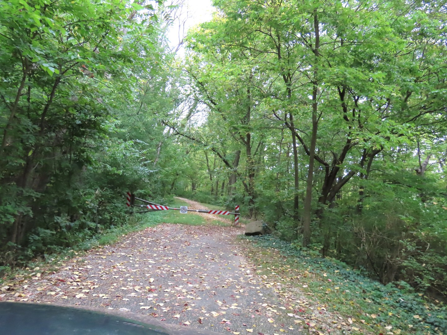 2968 North 2659th Road Seneca, IL 61360 - Photo 17 of 20 a view of outdoor space and trees