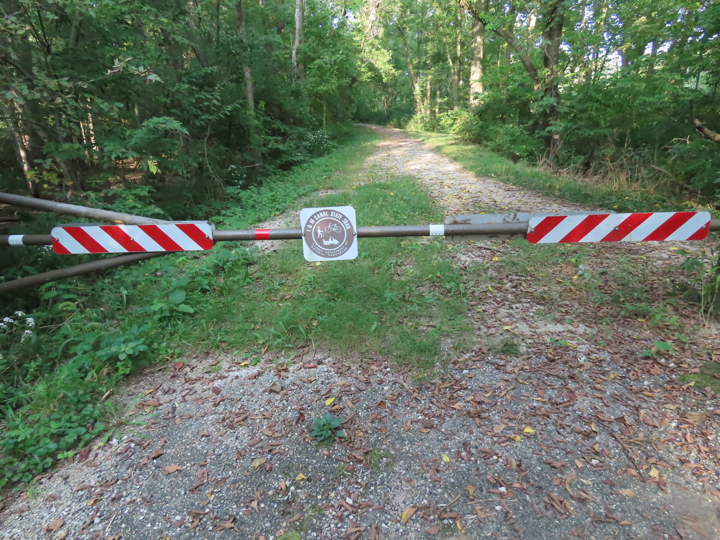 2968 North 2659th Road Seneca, IL 61360 - Photo 18 of 20 a view of yard