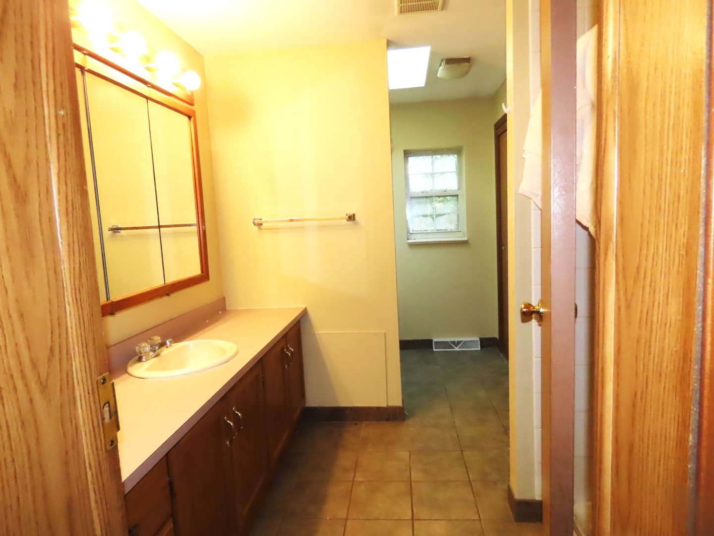 2968 North 2659th Road Seneca, IL 61360 - Photo 10 of 20 a bathroom with a sink a mirror and a shower