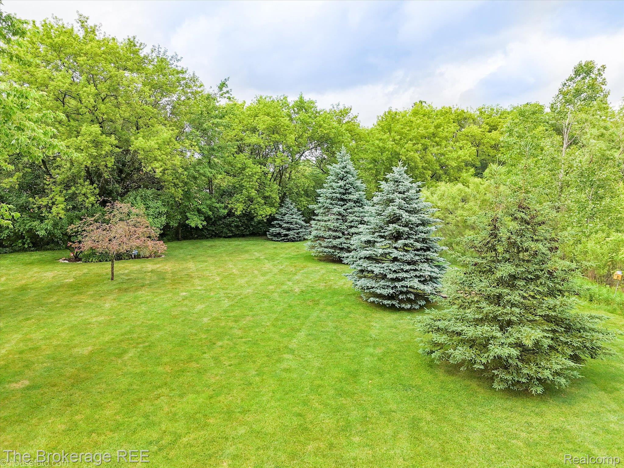 4432 North Belsay Road Flint, MI 48506 - Photo 17 of 79 Expansive lawn area featuring a variety of mature trees, including several evergreen specimens