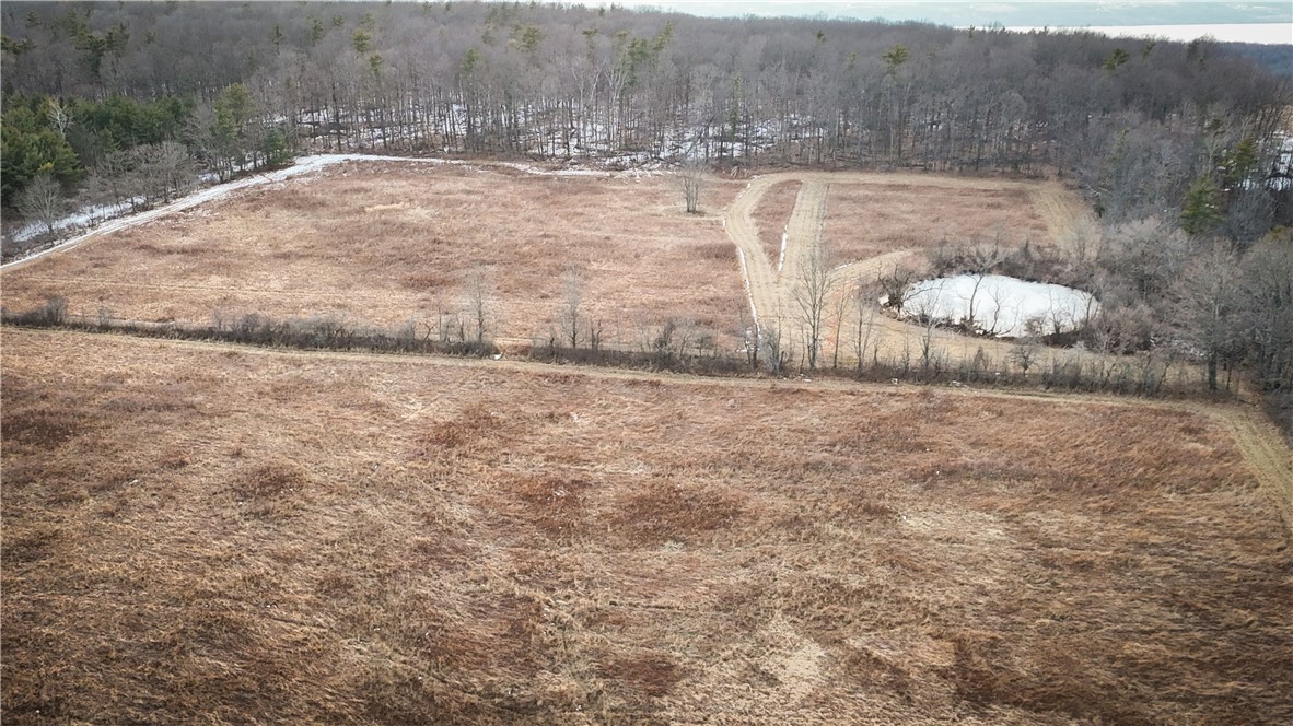 V/l-1 Lodi Center Road Lodi, NY 14860 - Photo 12 of 50