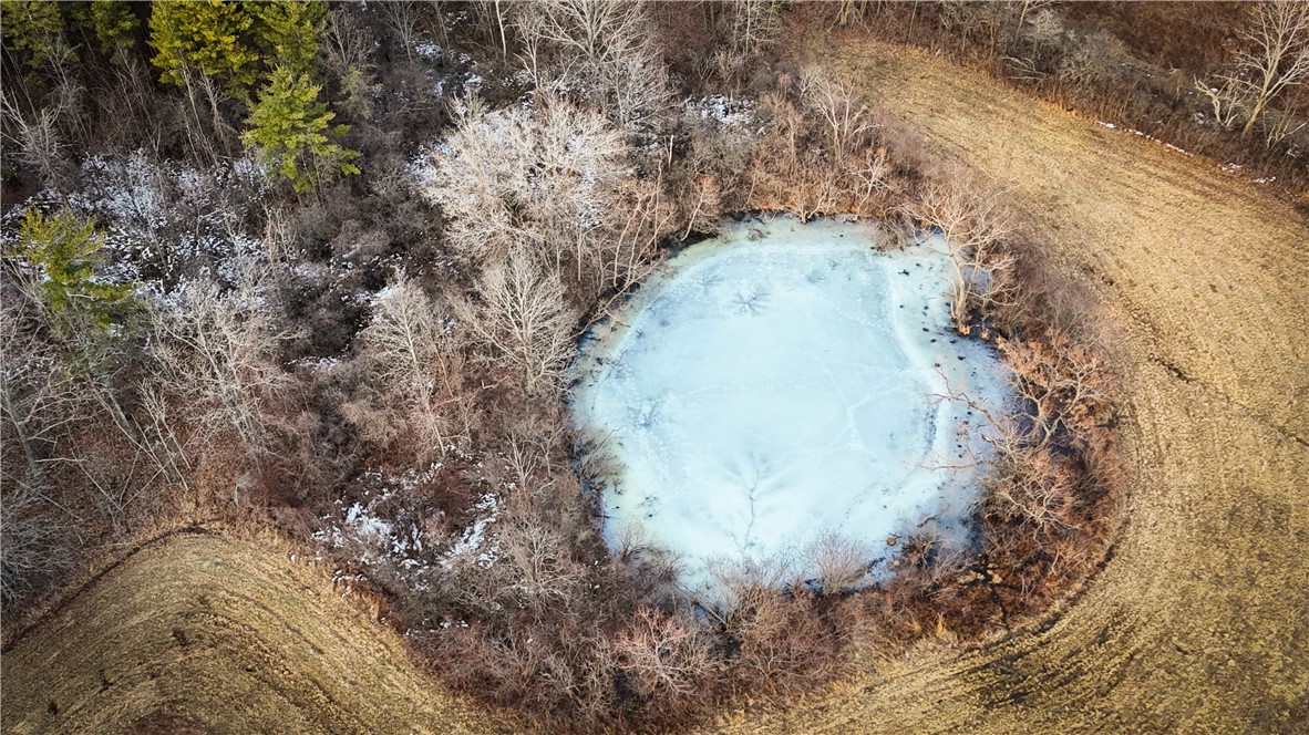 V/l-1 Lodi Center Road Lodi, NY 14860 - Photo 14 of 50