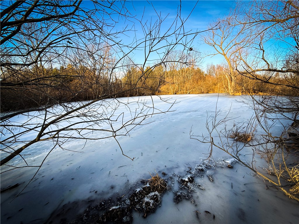 V/l-1 Lodi Center Road Lodi, NY 14860 - Photo 16 of 50