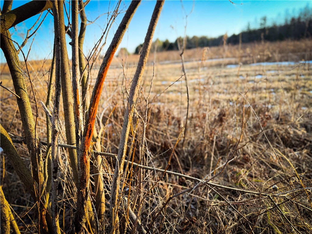 V/l-1 Lodi Center Road Lodi, NY 14860 - Photo 18 of 50