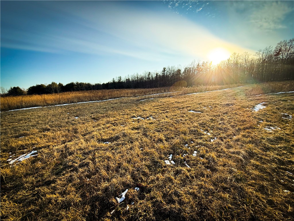 V/l-1 Lodi Center Road Lodi, NY 14860 - Photo 19 of 50