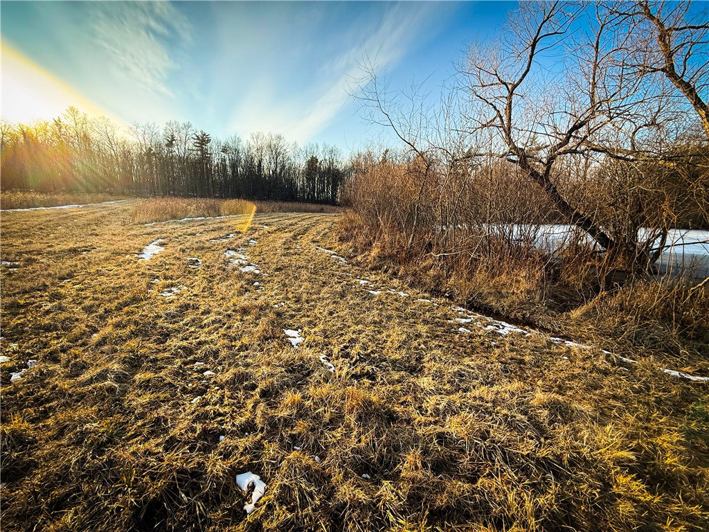 V/l-1 Lodi Center Road Lodi, NY 14860 - Photo 20 of 50