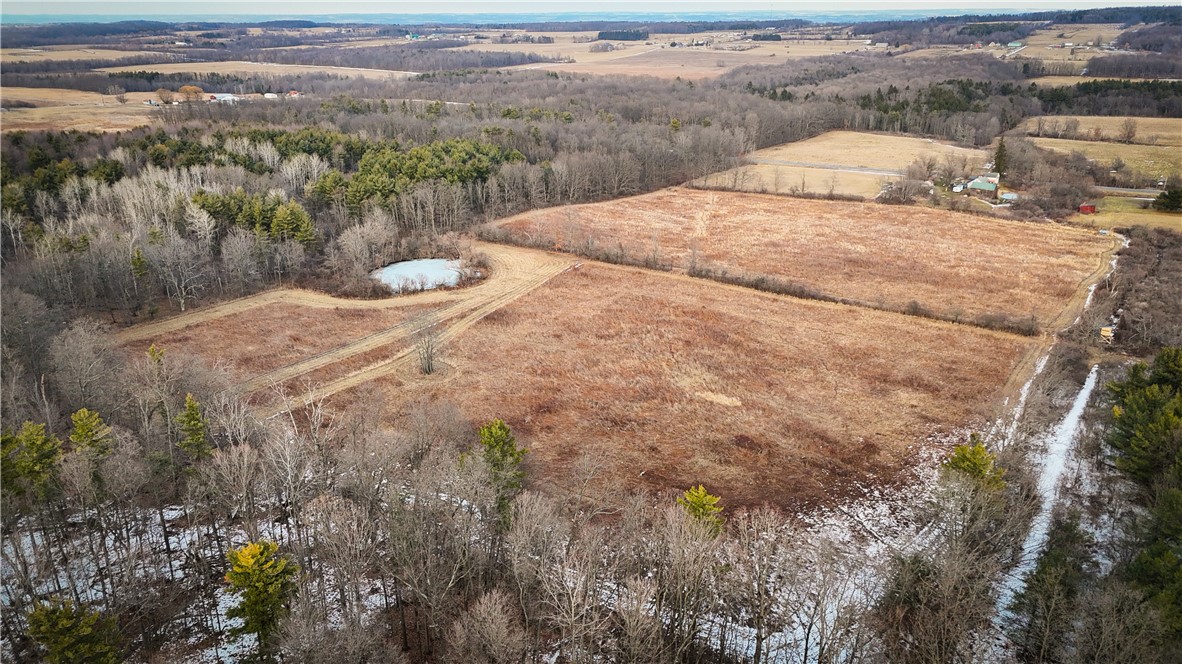 V/l-1 Lodi Center Road Lodi, NY 14860 - Photo 24 of 50