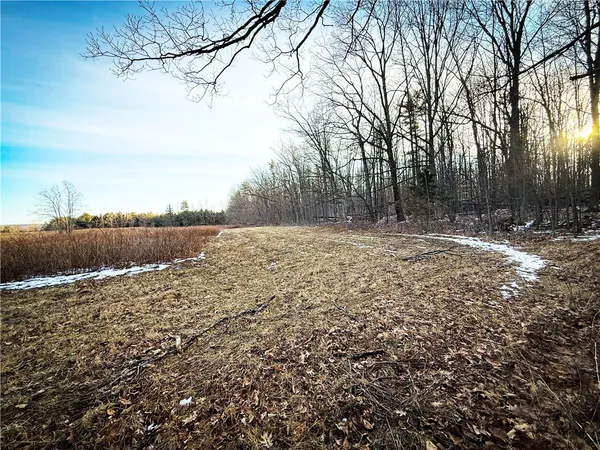 $199,900 | V/l-1 Lodi Center Road, Lodi, NY 14860